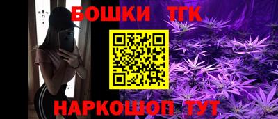 индика Шебекино