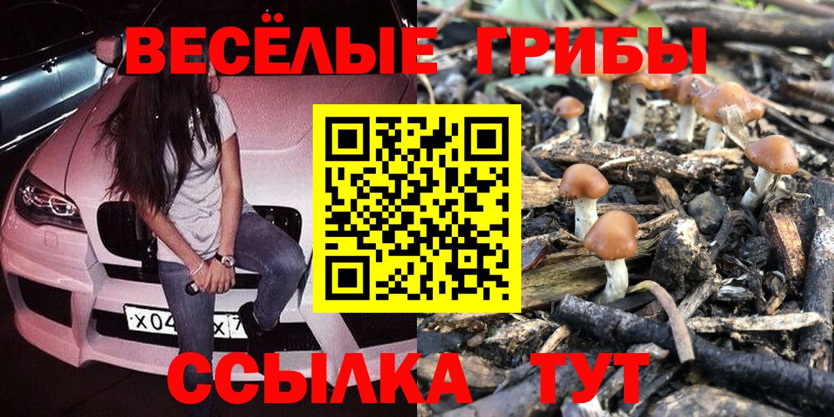 Галлюциногенные грибы Cubensis Котлас