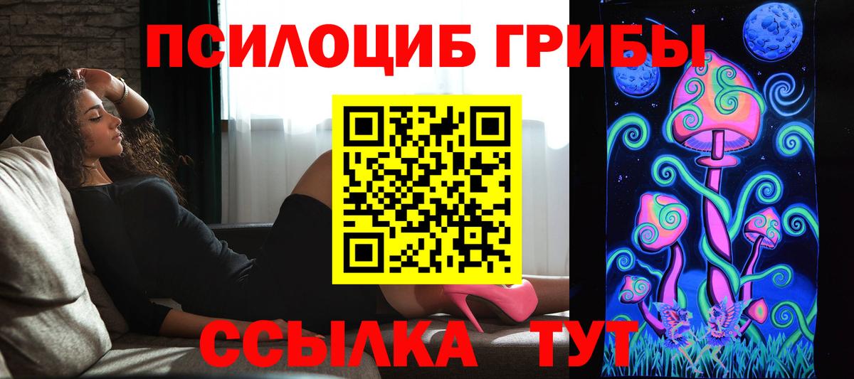 Псилоцибиновые грибы прущие грибы  Псилоцибиновые грибы прущие грибы  Котлас  где купить наркоту  Вход с VPN 